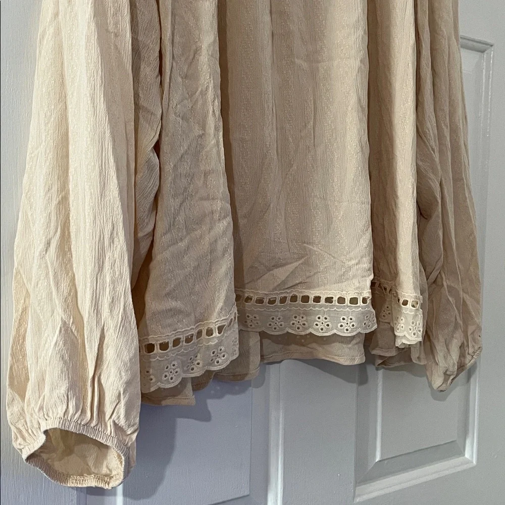 Plus Knox Rose Beige Embroidered Blouse - Picture 4 of 17